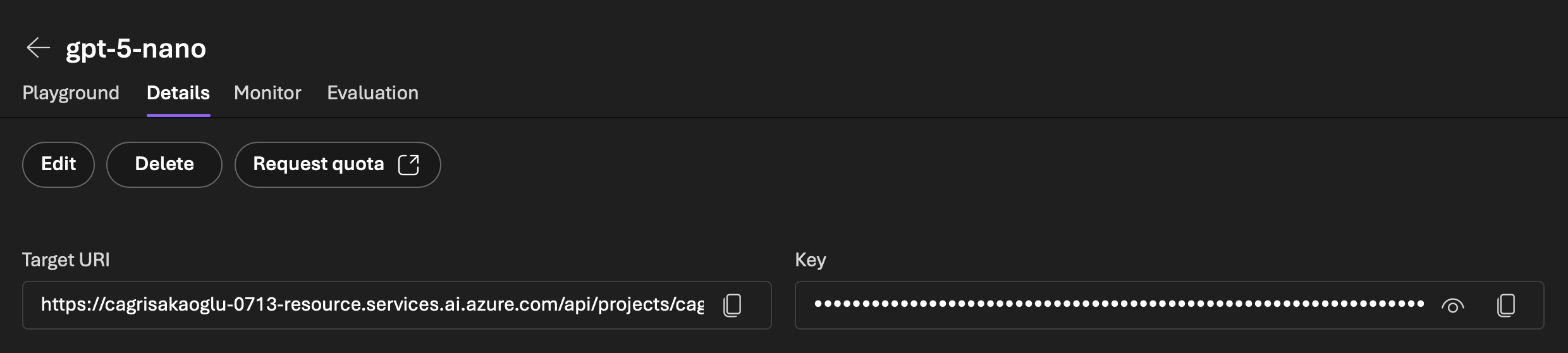 Find the model URI and key in the model details view